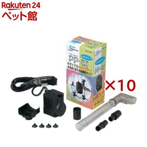 |v PP-51(10Zbg)
