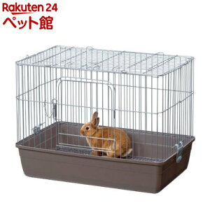 }J Ɏ郊rO[ LTCY( 1)