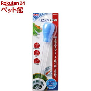 WFbNX _JC X|Cg(1R)yGEX(WFbNX)z