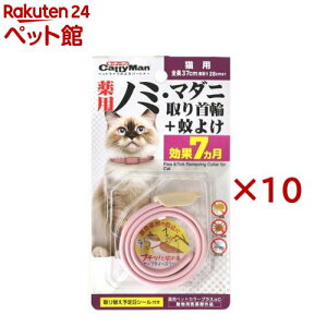 LeB[} pm~E}_j+悯 Lp(10Zbg)yLeB[}z