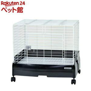 C[W[z[ EVO 60-BK(1)yC[W[z[z