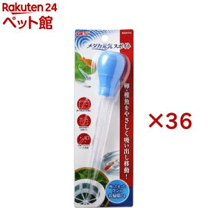 WFbNX _JC X|Cg(36Zbg)yGEX(WFbNX)z