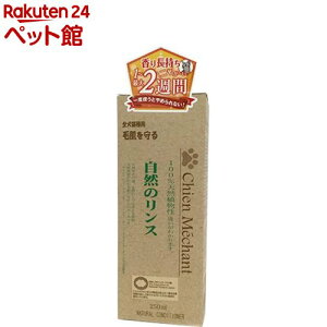 ���R�̃����X(250ml)�y�V�������V�����z