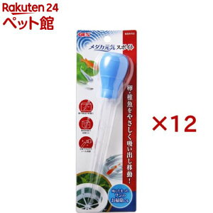 WFbNX _JC X|Cg(12Zbg)yGEX(WFbNX)z