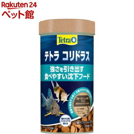 テトラ コリドラス(100G)【Tetra(テトラ)】