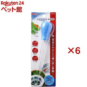 WFbNX _JC X|Cg(6Zbg)yGEX(WFbNX)z