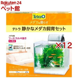 eg Âȃ_JZbg SF-17KF(12Zbg)yTetra(eg)z