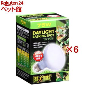 GL]e TO[ oXLOX|bgv 75W PT2132(6Zbg)yGL]ez