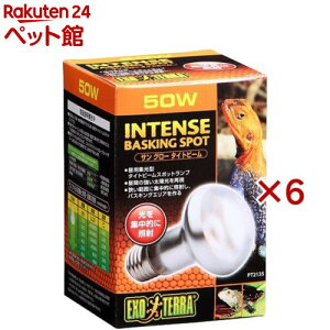 GL]e TO[ ^Cgr[oXLOX|bgv 50W PT2135(6Zbg)yGL]ez