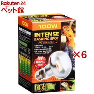 GL]e TO[ ^Cgr[oXLOX|bgv 100W PT2138(6Zbg)yGL]ez