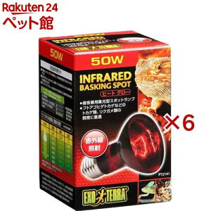 GL]e q[gO[ ԊOƎ˃X|bgv 50W PT2141(6Zbg)yGL]ez