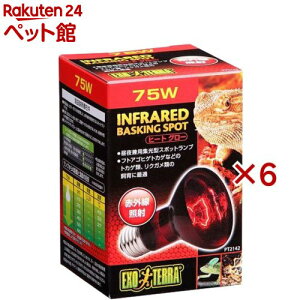 GL]e q[gO[ ԊOƎ˃X|bgv 75W PT2142(6Zbg)yGL]ez