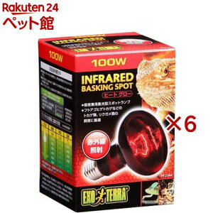 GL]e q[gO[ ԊOƎ˃X|bgv 100W PT2144(6Zbg)yGL]ez