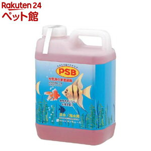 PSB(2.1L)