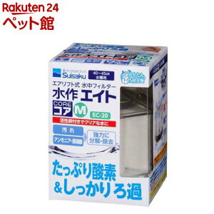  GCgRA M EC-20(1)yGCgz