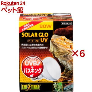 GL]e \[[O[UV 80W(6Zbg)yGL]ez