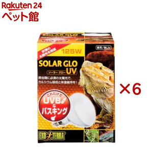 GL]e \[[O[UV 125W PT2192(6Zbg)yGL]ez