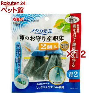 _JC ̂Y (2×12Zbg)y_JCz