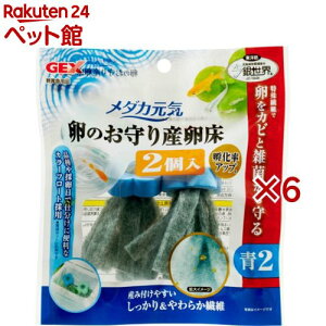 _JC ̂Y (2×6Zbg)y_JCz