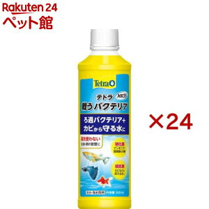 eg 키oNeA MK55(300ml×24Zbg)yTetra(eg)z