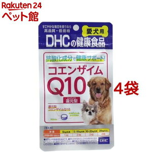 DHC p RGUCQ10Ҍ^(60*4܃Zbg)yDHC ybgz