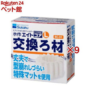  GCgRA L  EC-31(9Zbg)yGCgz