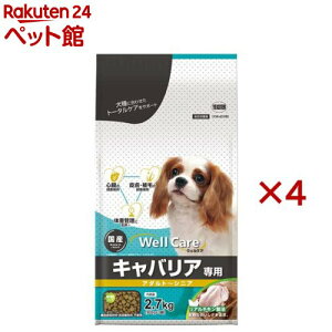 EFPA LoAp A_g`VjA(2.7kg×4Zbg)yEFPA(WellCare)z