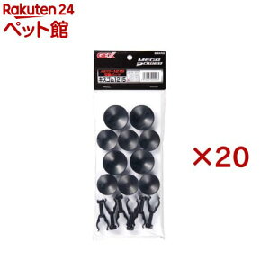 Kp[ LXSZbg 1215p(20Zbg)yKp[z