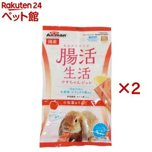 ミニアニマン 腸活生活 ウサちゃんジュレ 小松菜&りんご(10個入×2セット(1個3g))【ミニアニマン】