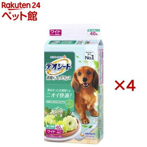 fIV[g LtOX O[A}̍ Ch p(40×4Zbg)yfIV[gz