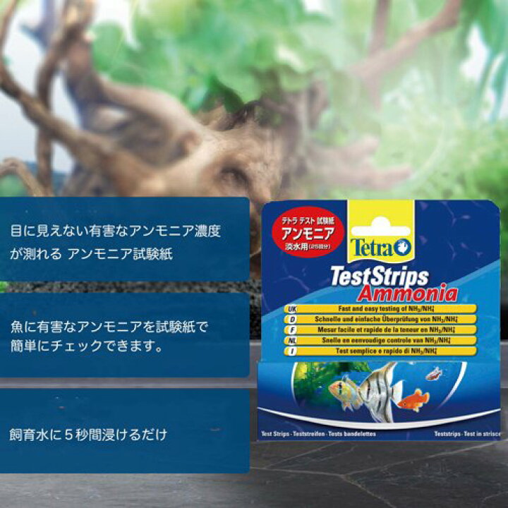 楽天市場 テトラ テスト試験紙 アンモニア 淡水用 25回分 Tetra テトラ 楽天24 ペット館