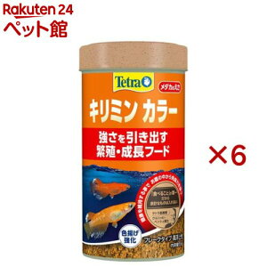 eg L~ J[(55g×6Zbg)yTetra(eg)z