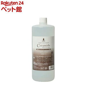 BASICS ZxZ~hCX`[Xv[ Lp Ɩp(1L)yBASICSz