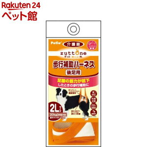 yeBI Ƃ Vp s⏕n[lX 㑫pK(2LTCY*1R)yyeBI(Petio)z