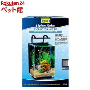 eg rOL[u 20(1Zbg)yegz