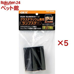 GL]e vXe[(5Zbg)yGL]ez