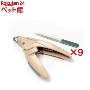 ybge ܐ؂聕XZbg(9Zbg)