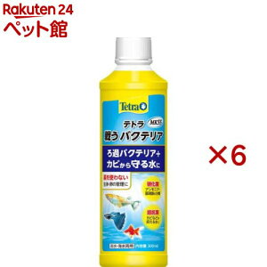 eg 키oNeA MK55(300ml×6Zbg)yTetra(eg)z