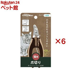 i`X^C WJ[uܐ؂(6Zbg)yi`X^Cz