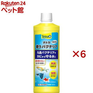 eg 키oNeA MK55(500ml×6Zbg)yTetra(eg)z