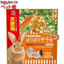 ぱりぱりサラダ(420g×3セット)【ミニマルランド】
