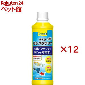 eg 키oNeA MK55(300ml×12Zbg)yTetra(eg)z