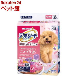 fIV[g LtOX t[V{̍ M[ p(120)yfIV[gz