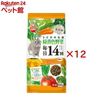 ̖14 ΉF VjA(800g×12Zbg)y~j}hz