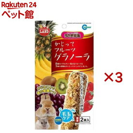 ミニマルランド うさぎ元気 かじってフルーツグラノーラ(2本入×3セット)【ミニマルランド】