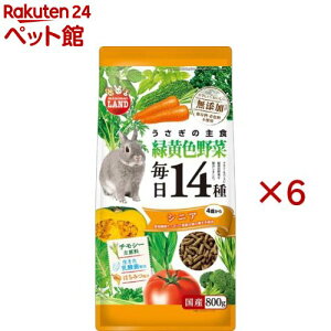 ̖14 ΉF VjA(800g×6Zbg)y~j}hz