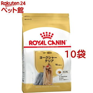 CJi u[h wX j[gV [NV[eA -p(800g*10RZbg)yCJi(ROYAL CANIN)z[hbOt[h]