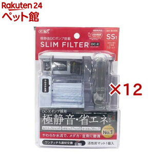 XtB^[ DC-X SS1(12Zbg)