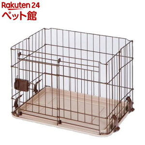 }J thT[N XChhA STCY(1R)