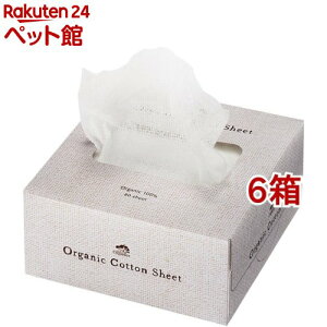 ChEIuEI[KjNX I[KjbNRbgV[g(80*6Zbg)yChEIuEI[KjNXz